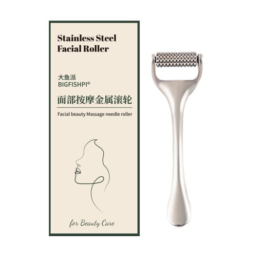 Metal multi-functional beauty rolling needle